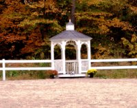 Fall Foliage