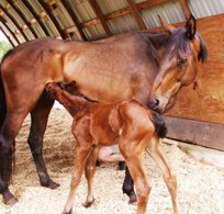 30 min old