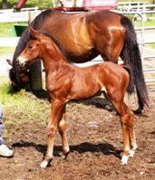 5 days old
