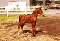 5 days old