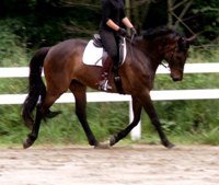 Salvatore