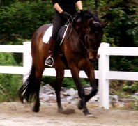 Salvatore